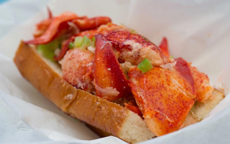 lobster roll sandwich from Sam's ChowderMobile